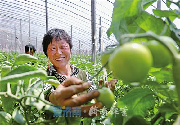 济南商河最新招聘女工,济南商河最新招聘女工信息及其相关分析