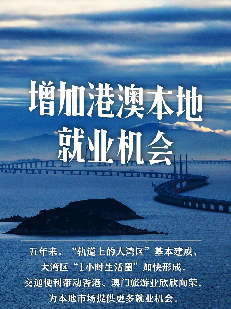 2024新澳门正版挂牌,探索新澳门正版挂牌的机遇与挑战，迈向未来的关键路径