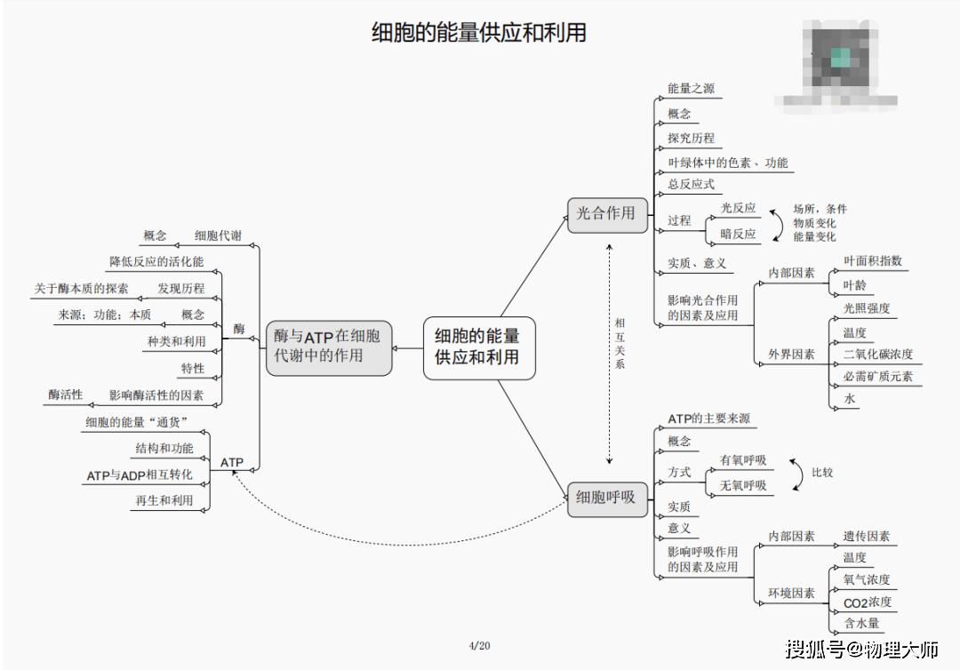 白小姐三肖三期必出一期开奖虎年,白小姐三肖三期必出一期开奖——虎年的独特魅力与神秘预言