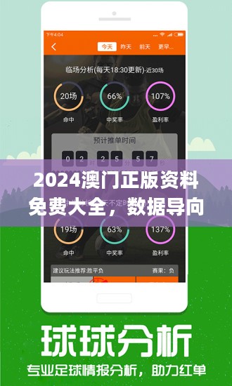 2024新奥资料免费49图库,探索未来资料宝库，2024新奥资料免费图库与49图库的魅力