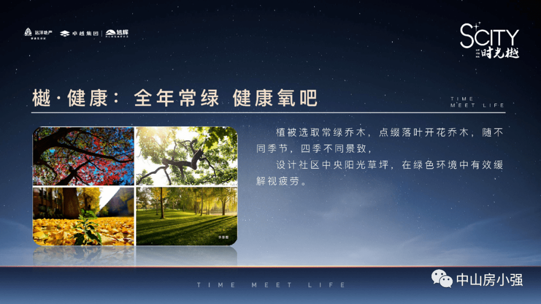 新澳免费资料公式,新澳免费资料公式的深度解析与应用