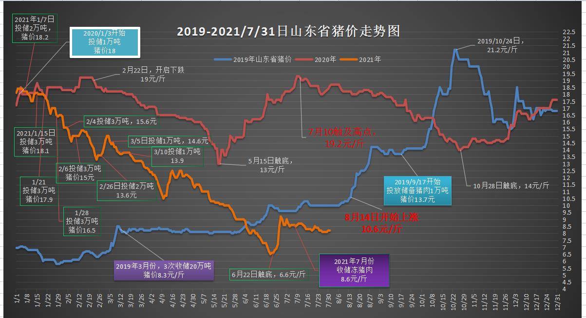 2024年今晚澳门开特马,探索未来之门，2024年澳门特马展望